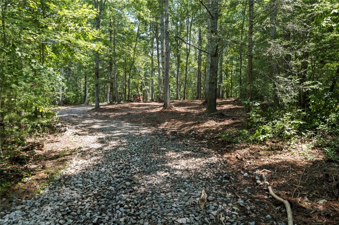 423 Verner Mill Road Mountain Rest, SC 29664 - Photo 7 of 20