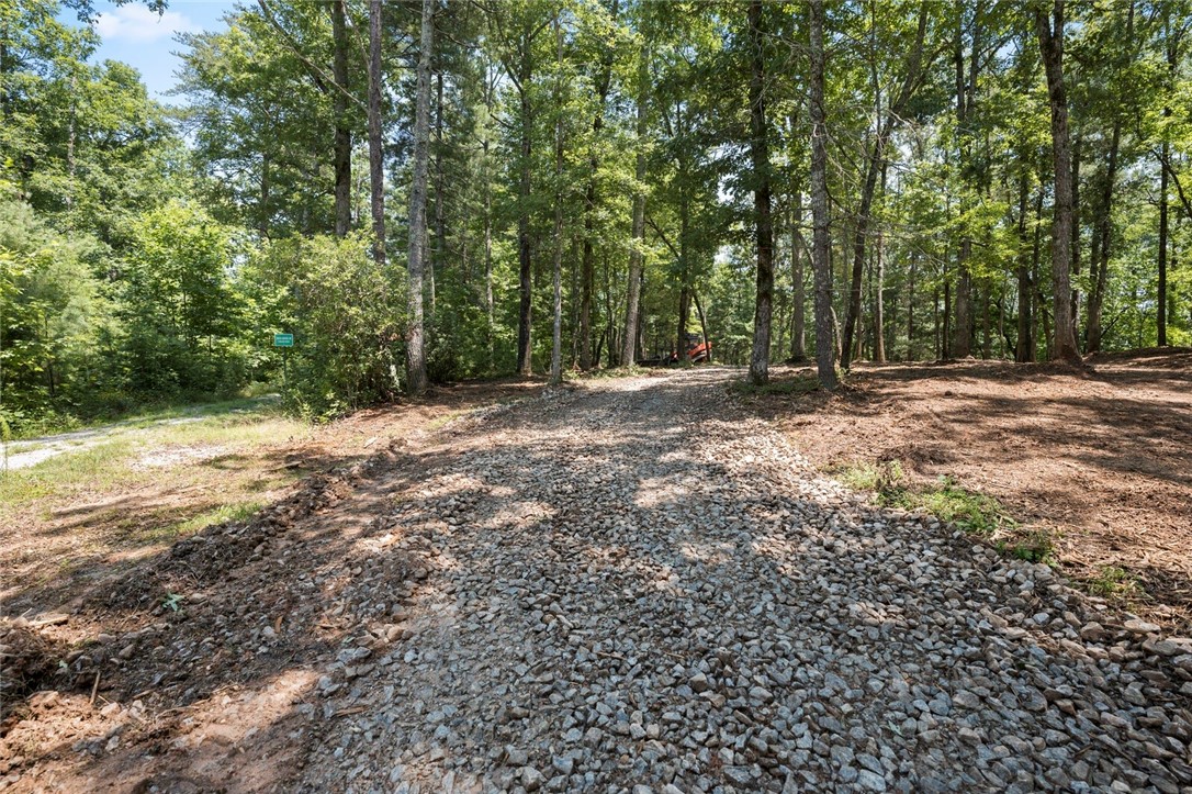423 Verner Mill Road Mountain Rest, SC 29664 - Photo 8 of 20