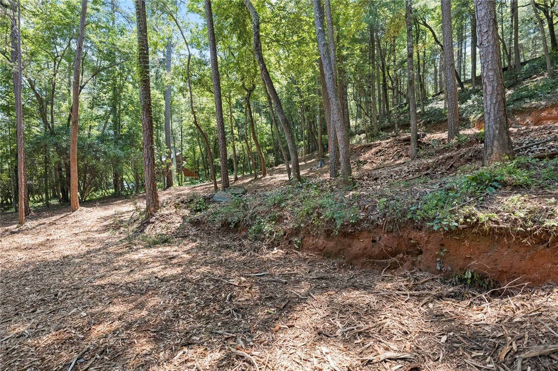423 Verner Mill Road Mountain Rest, SC 29664 - Photo 9 of 20