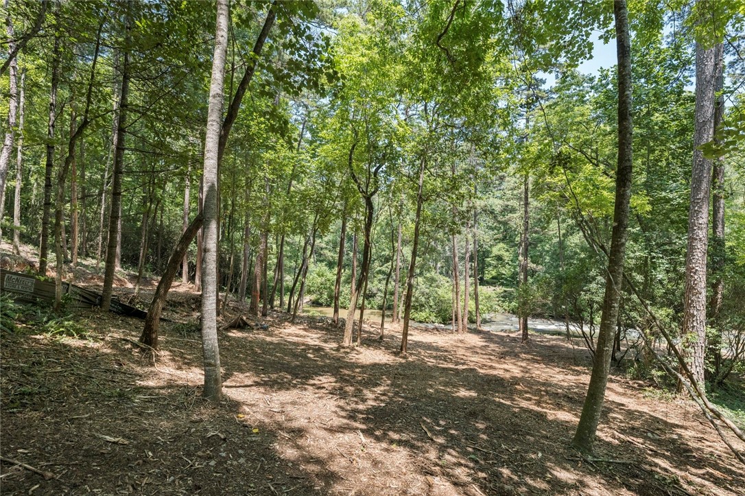 423 Verner Mill Road Mountain Rest, SC 29664 - Photo 10 of 20