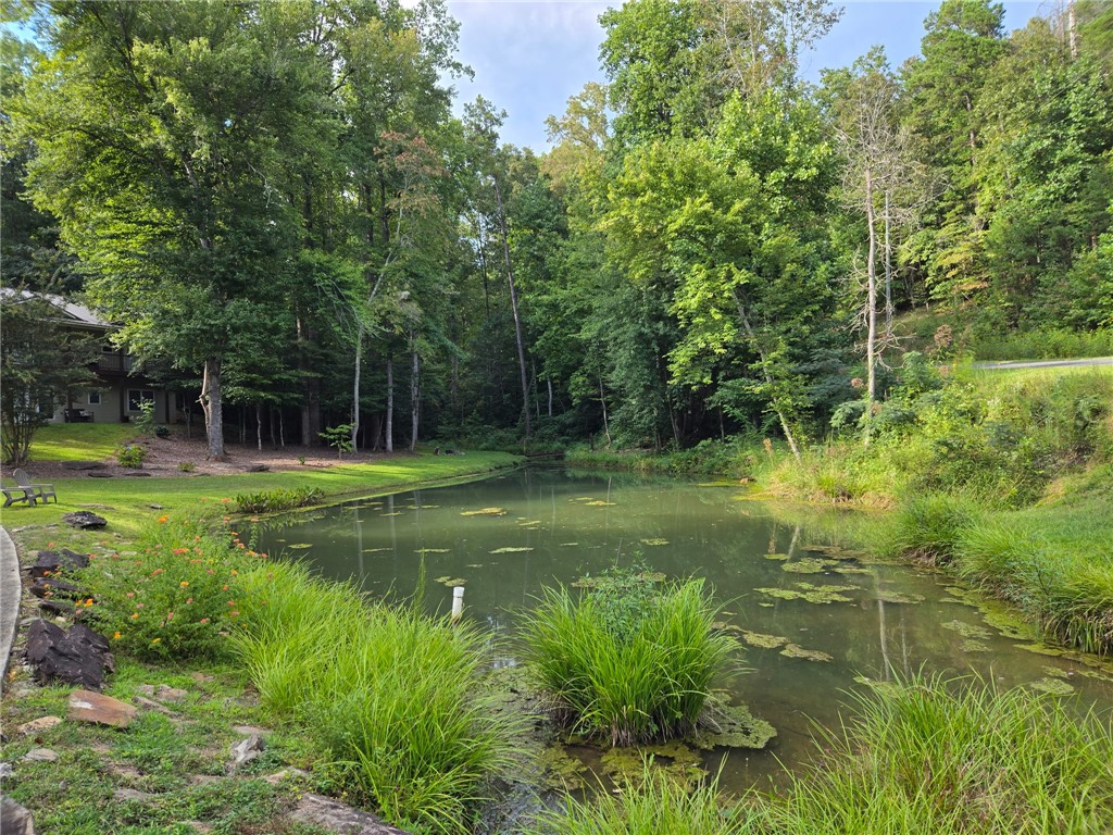 130 Greenbrier Road Salem, SC 29676 - Photo 2 of 48 This tranquil pond is surrounded by lush greenery, creating a peaceful and serene natural escape.