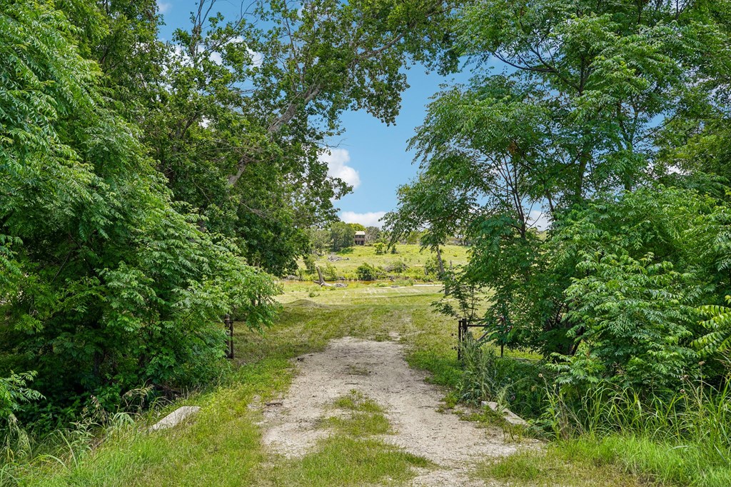 5953 Highway 27 Center Point, TX 78010 - Photo 3 of 21 a view of a garden with a lake