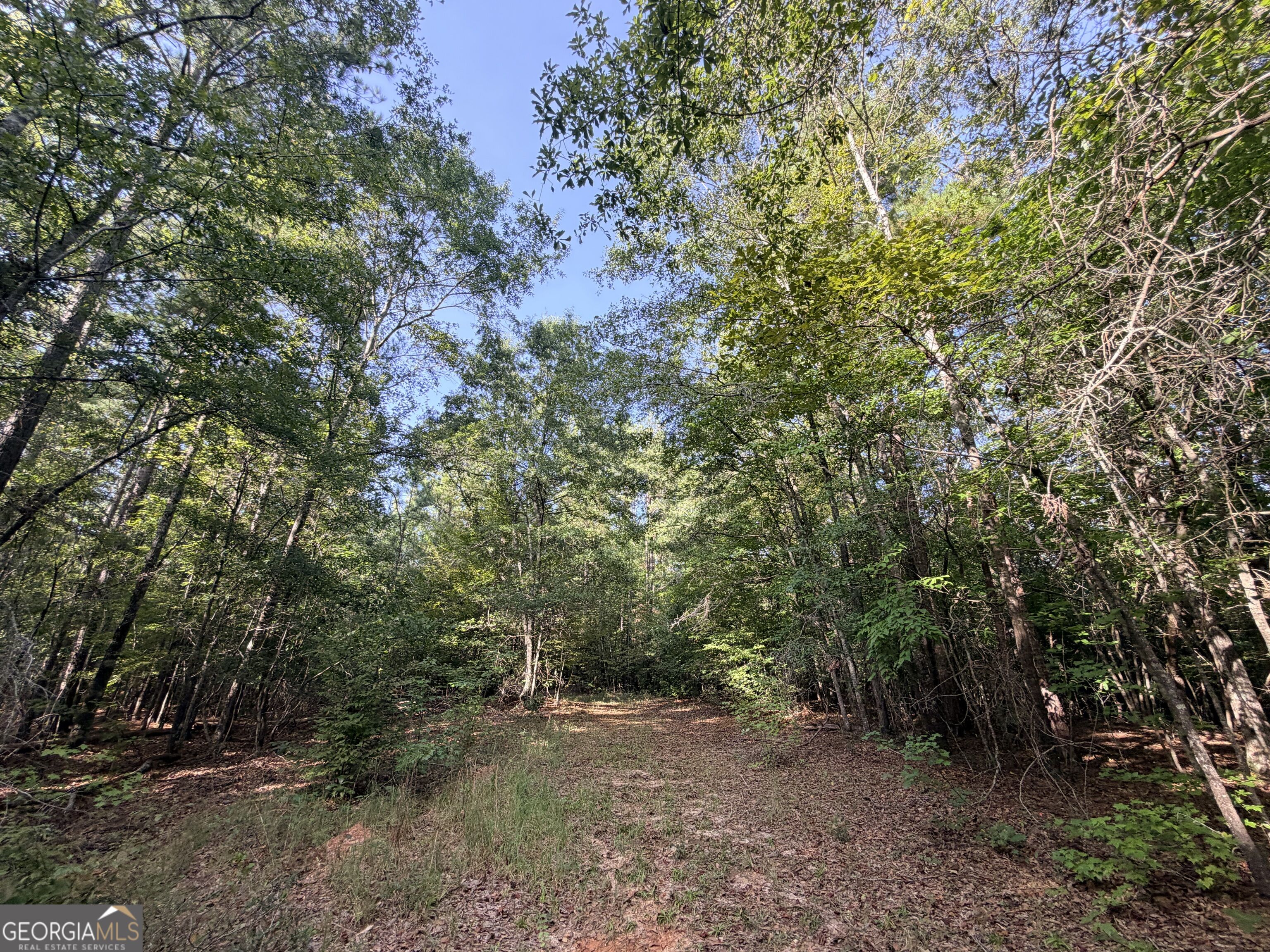 3 Cunningham Road Greensboro, GA 30642 - Photo 86 of 89 Gallery Image 86