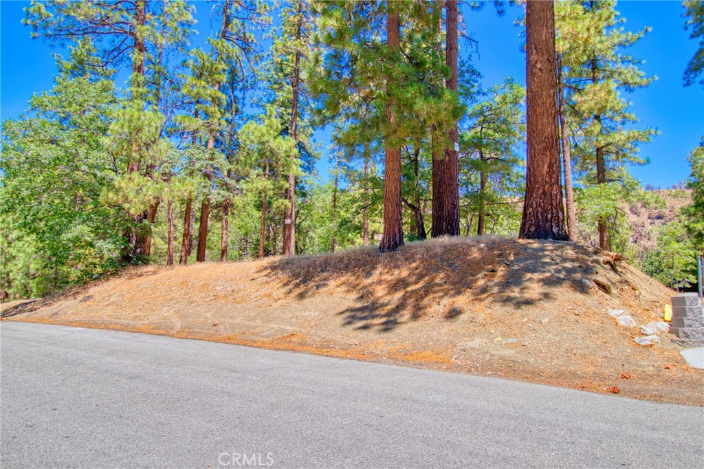 0 Oriole Road Wrightwood, CA 92397 - Photo 3 of 12 a view of a backyard of a house