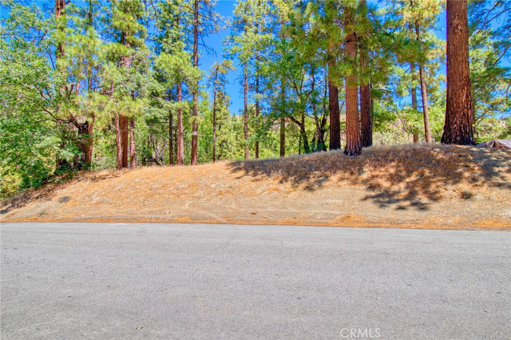 0 Oriole Road Wrightwood, CA 92397 - Photo 4 of 12 a view of a road with large trees