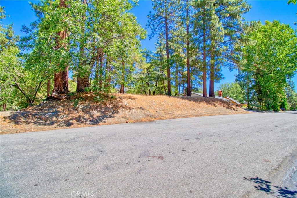 0 Oriole Road Wrightwood, CA 92397 - Photo 8 of 12