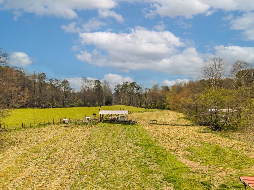 1252 Old Gumlog Road Blairsville, GA 30512 - Photo 12 of 76