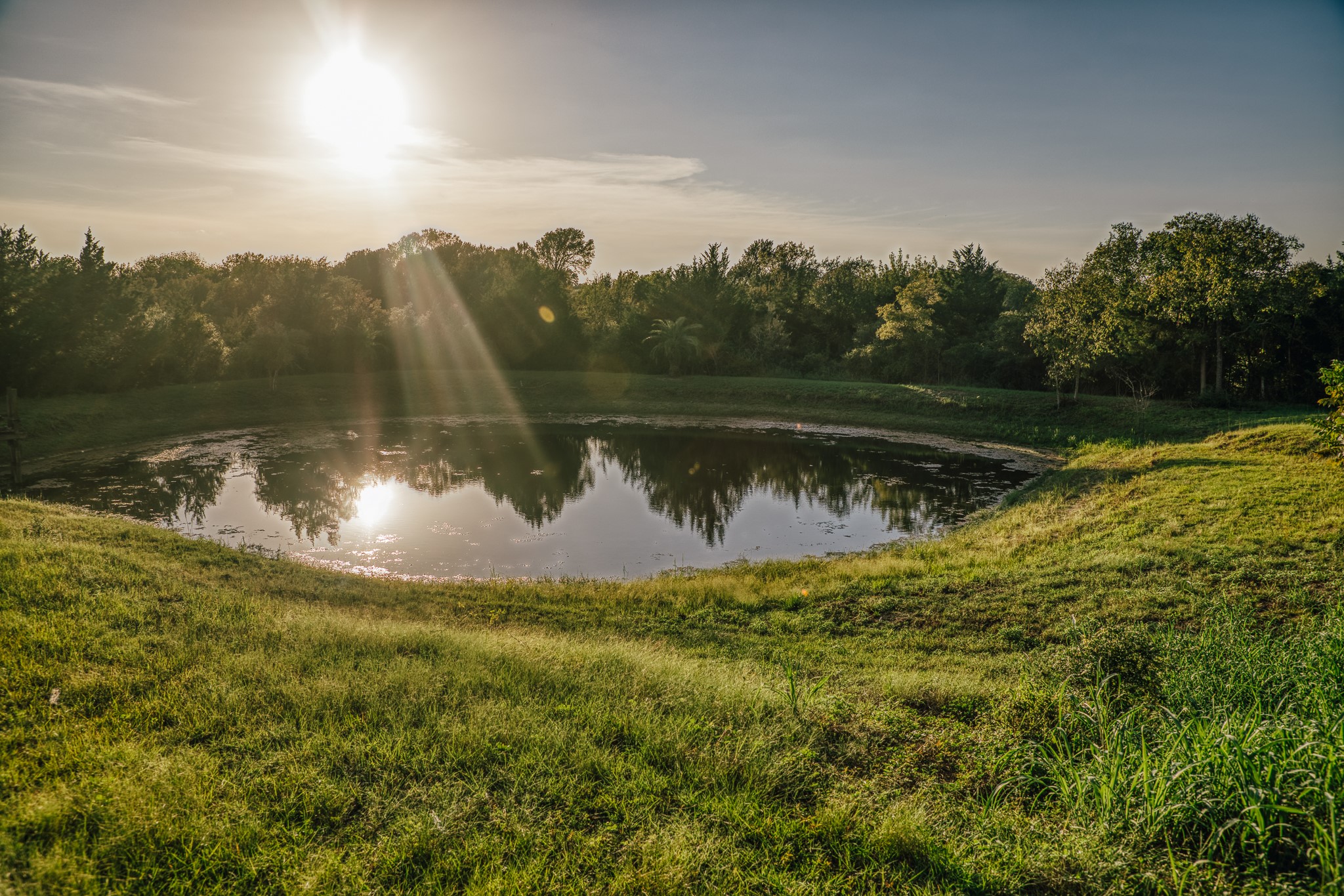 15484 Borgstedte Road Washington, TX 77880 - Photo 20 of 30 Gallery Image 20