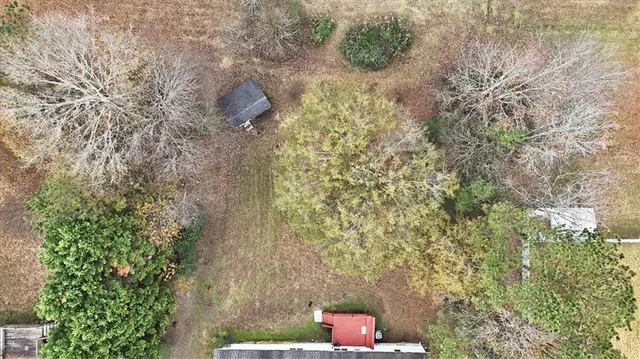 a outdoor view with a tree