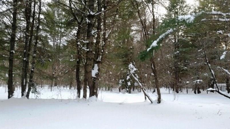 792 Back Road New Portland, ME 04961 - Photo 26 of 26 Photo
