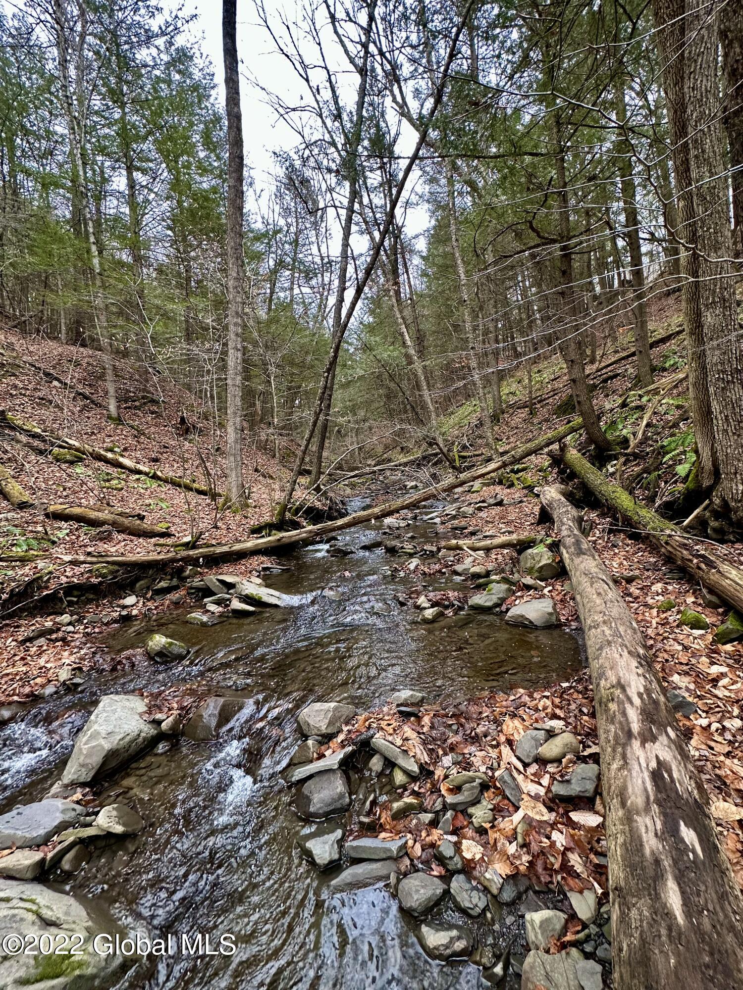 157 Lower Road Middleburgh, NY 12122 - Photo 8 of 11 DD89A92D-B719-4E28-9648-0861AD5BB695_1_2