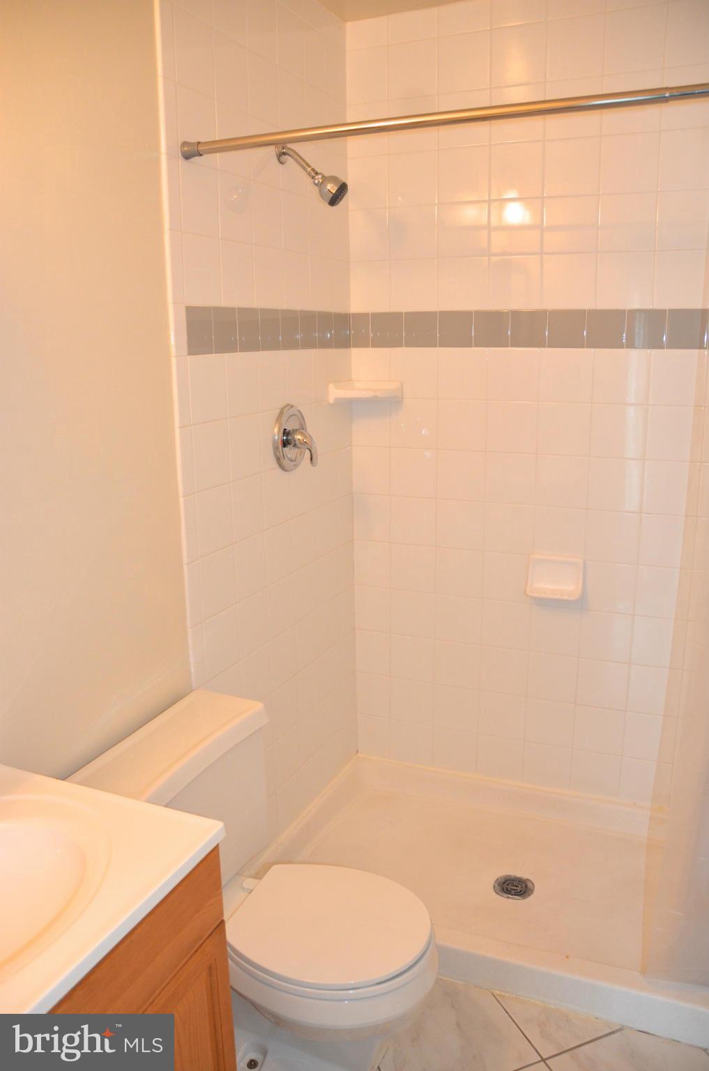 1007 Cedar Ridge Court Annapolis, MD 21403 - Photo 16 of 30 Bath (Master)