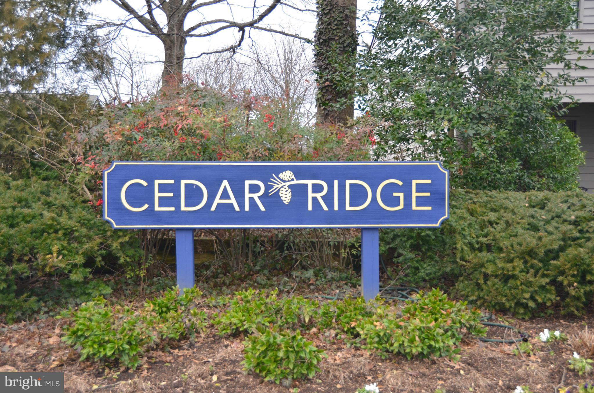 1007 Cedar Ridge Court Annapolis, MD 21403 - Photo 25 of 30 Community