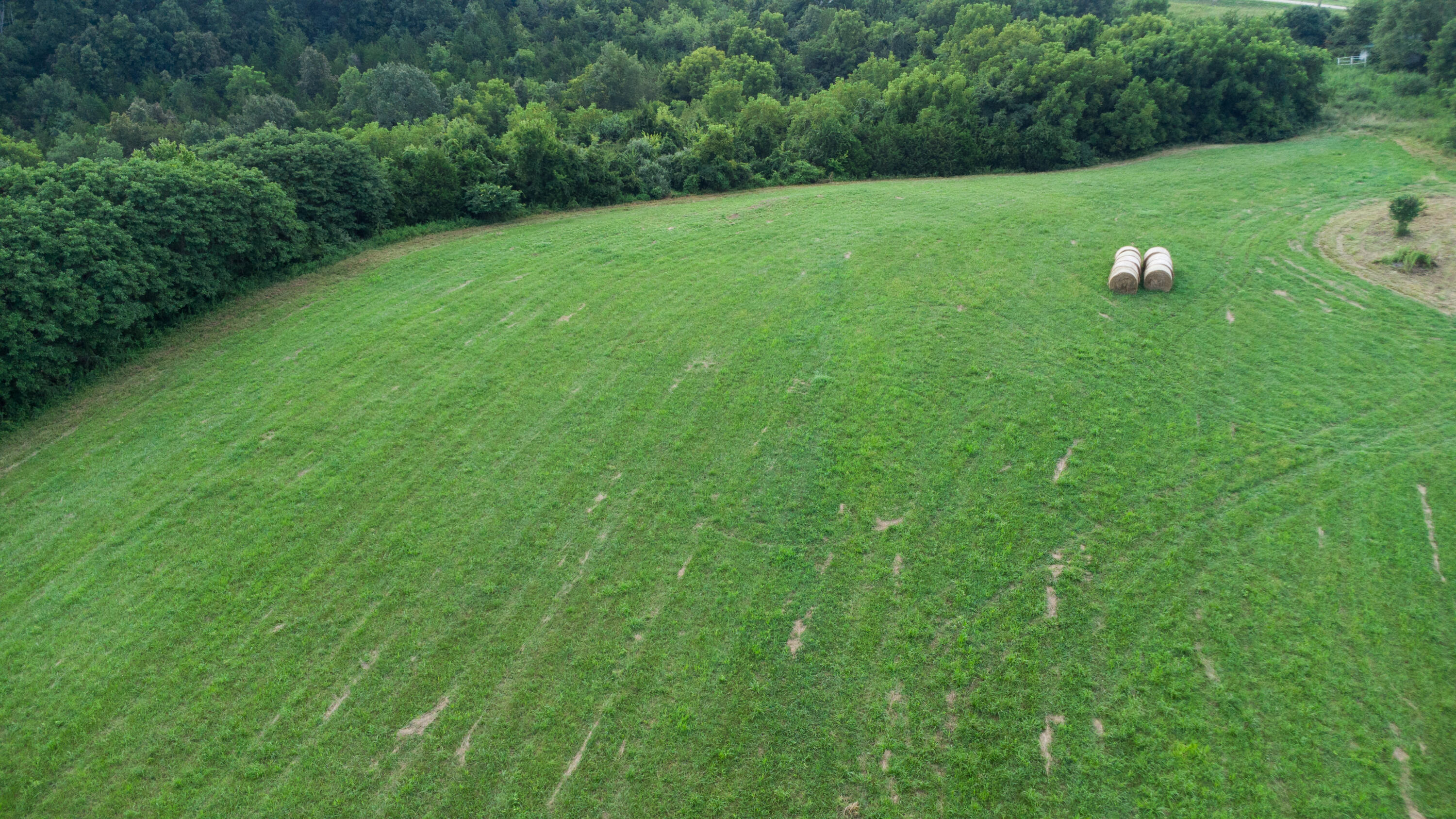 4095 Warsaw Road Dry Ridge, KY 41035 - Photo 24 of 48