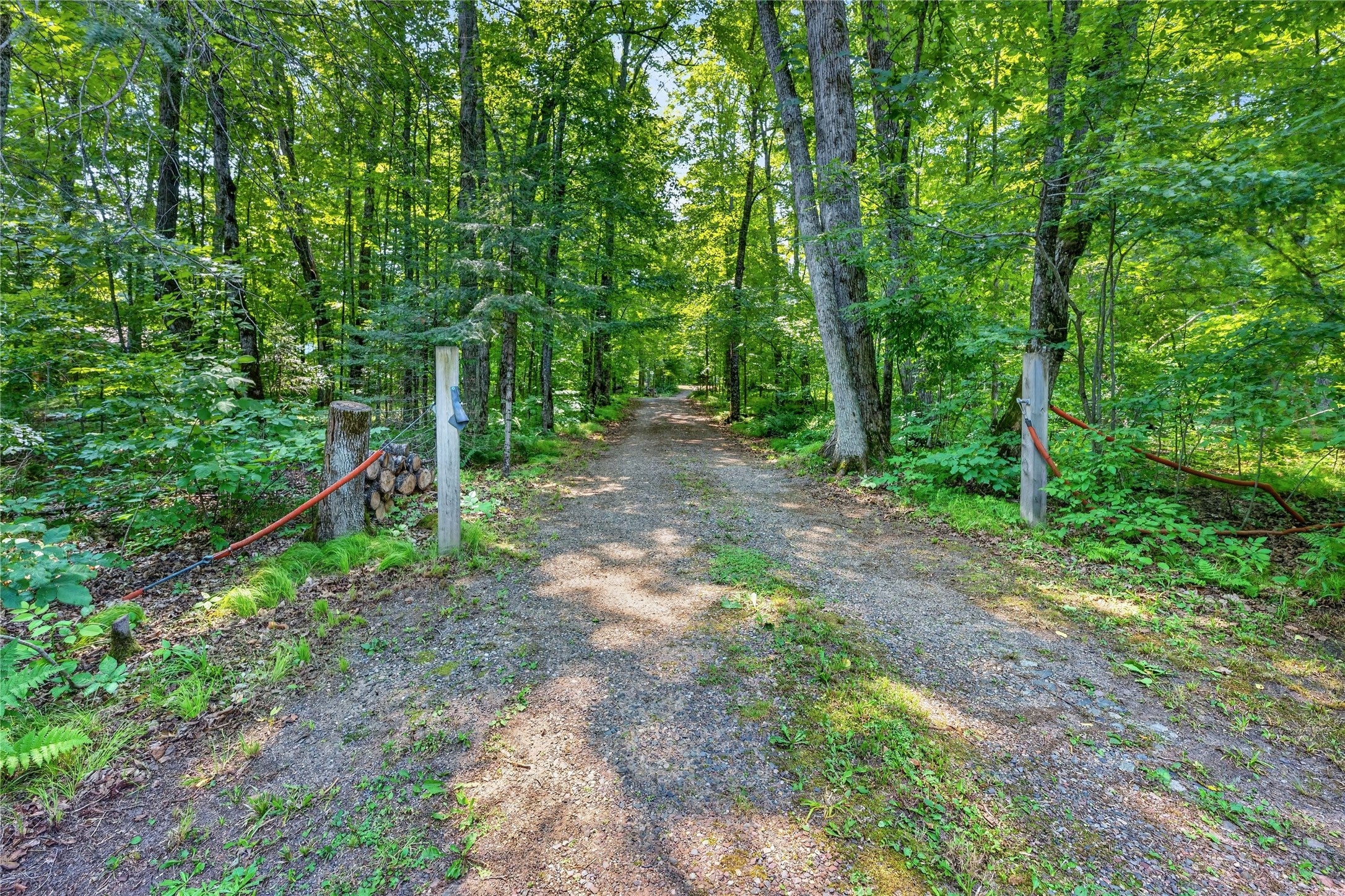 6925 W Hemlock Haven Road Winter, WI 54896 - Photo 32 of 42