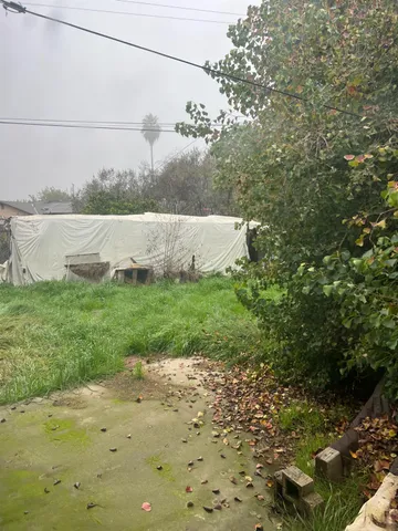 a view of a yard with large trees
