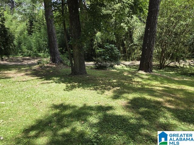 108 Azalea Court Gardendale, AL 35071 - Photo 40 of 42