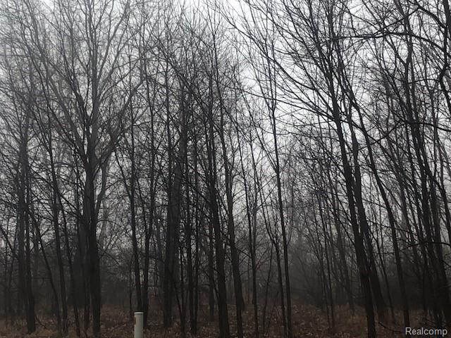 1 West Rolston Road Linden, MI 48451 - Photo 1 of 2