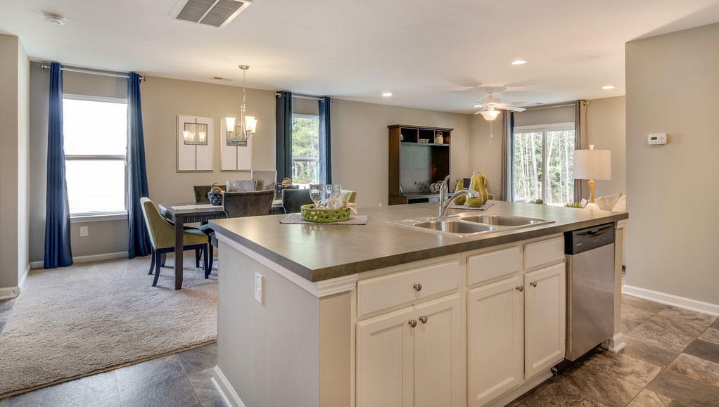 216 Cypress Marsh Road Moncks Corner, SC 29461 - Photo 7 of 24 Robie-A_2362_CR-Hamlets-Lot-1-NEW_Open2