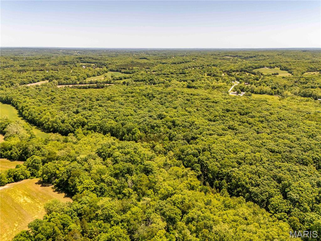2126 Krenning Road Beaufort, MO 63013 - Photo 85 of 99