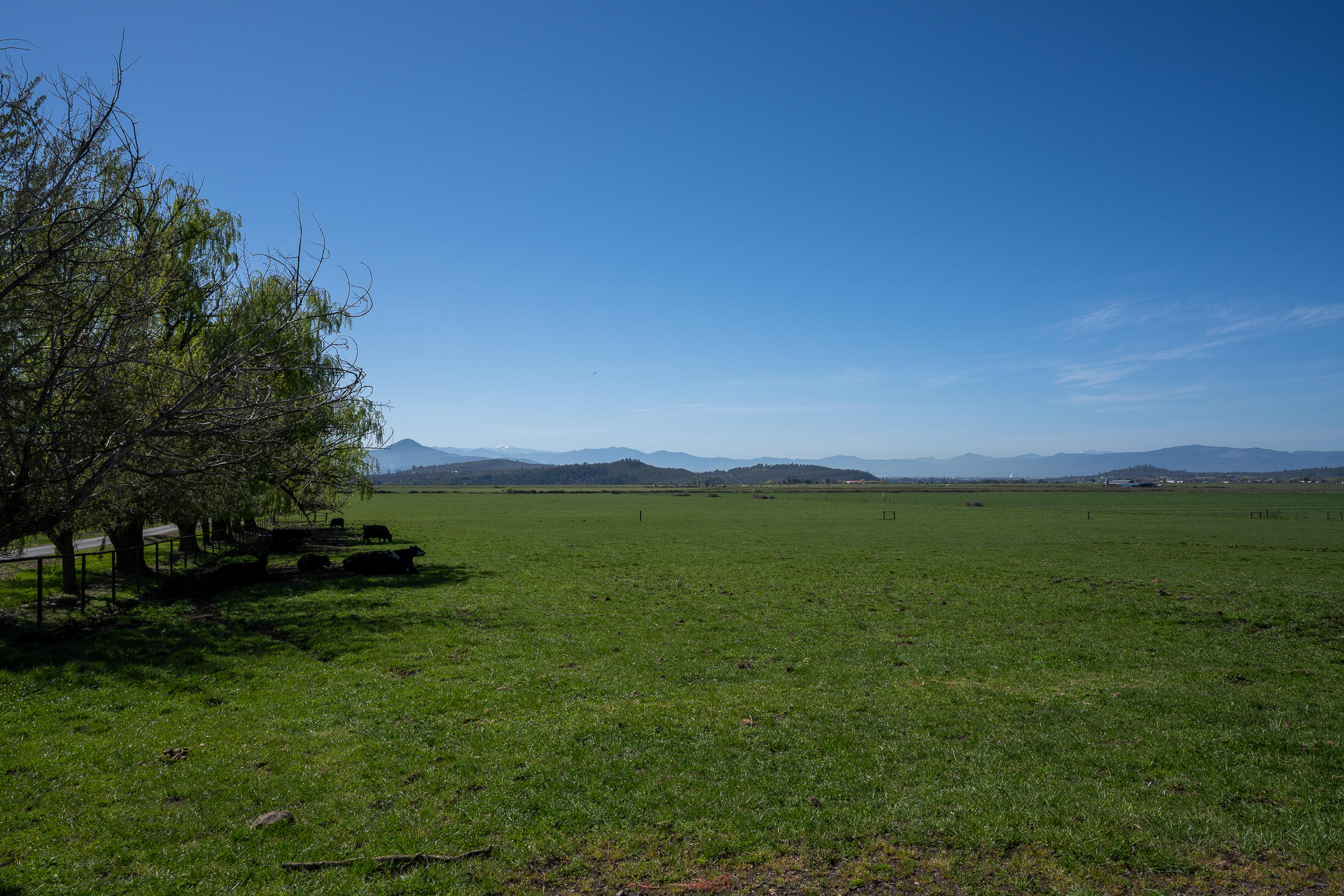 1881 Brophy Road Eagle Point, OR 97524 - Photo 20 of 130 018