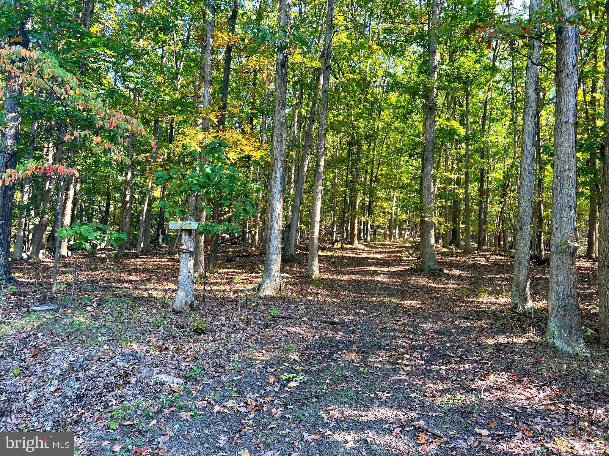 1604 High Knob Road Old Fields, WV 26845 - Photo 79 of 113