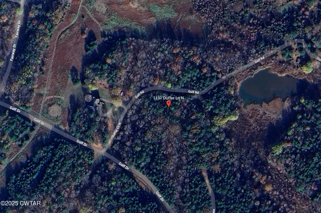 a view of a tree in a yard