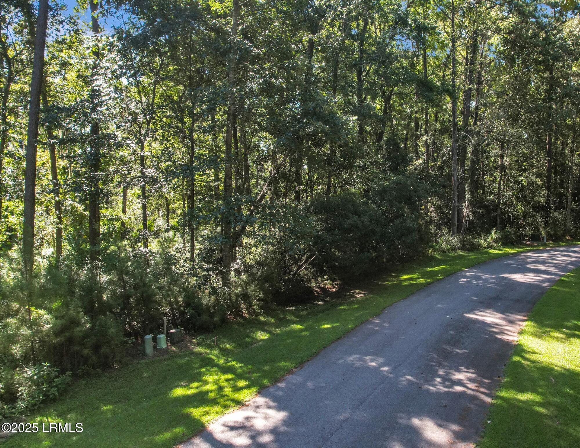 5 Blake Lane Seabrook, SC 29940 - Photo 2 of 86 165' Road Frontage