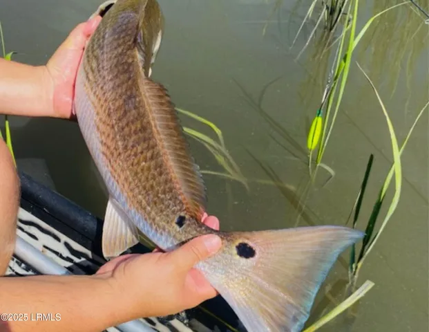 $74,000 | 5 Blake Lane, Seabrook, SC 29940