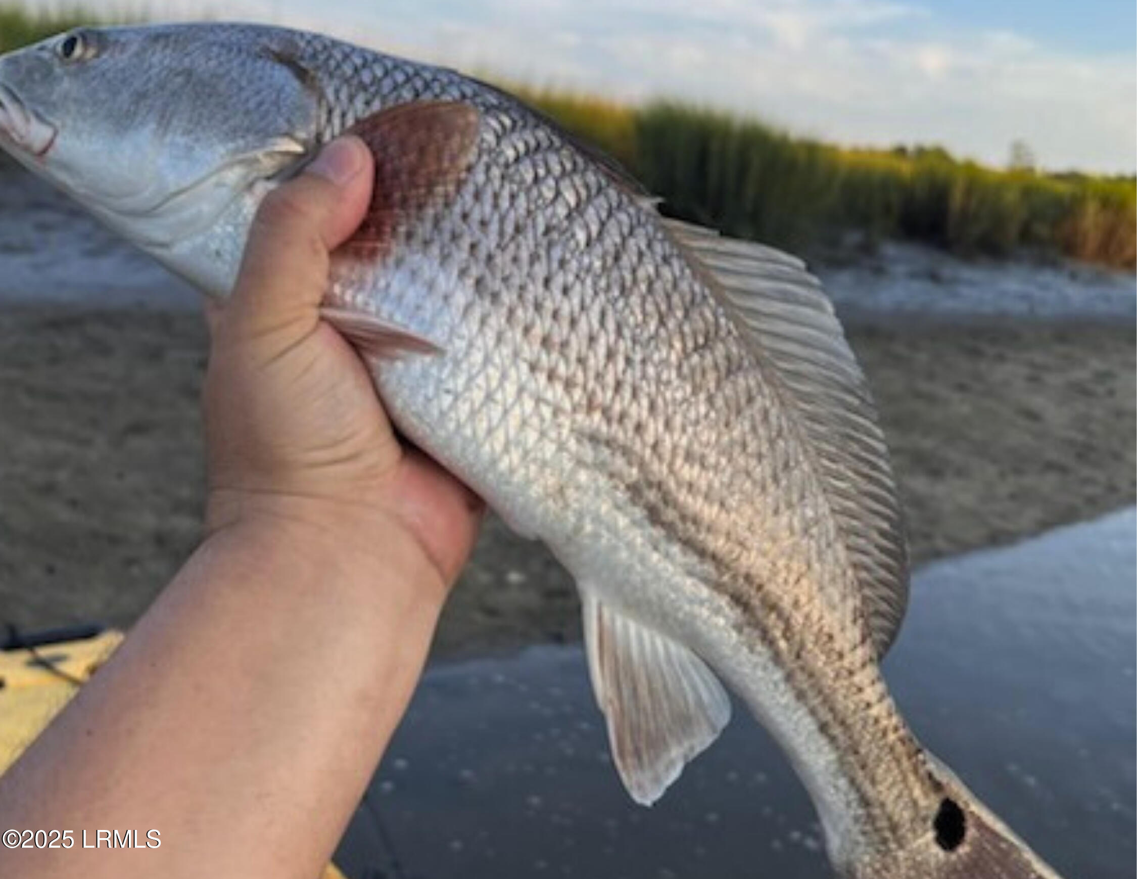 5 Blake Lane Seabrook, SC 29940 - Photo 48 of 86 40