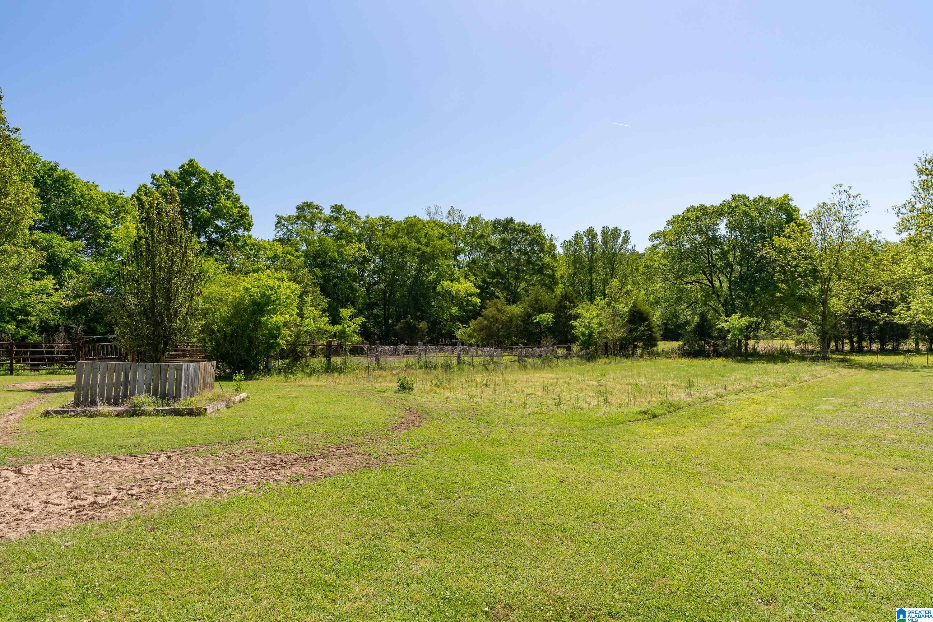 4493 Odens Mill Road Sylacauga, AL 35151 - Photo 53 of 62