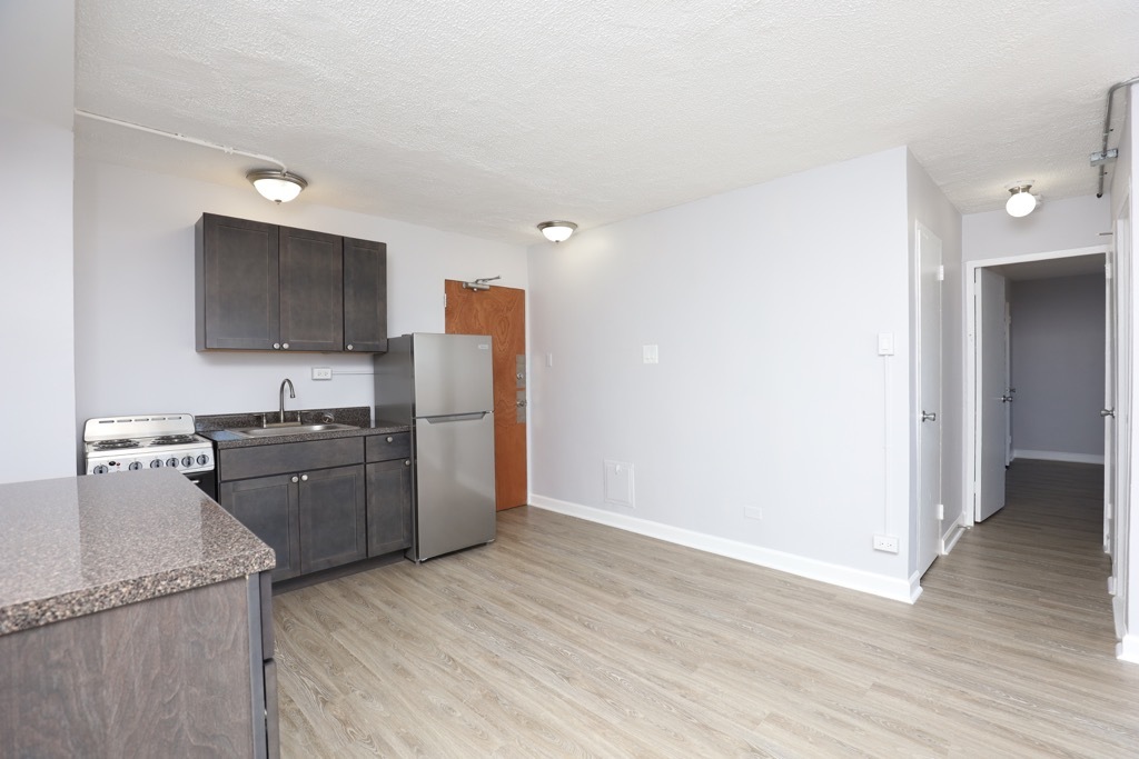 7333 North Ridge Boulevard, Unit 501 Chicago, IL 60645 - Photo 6 of 21