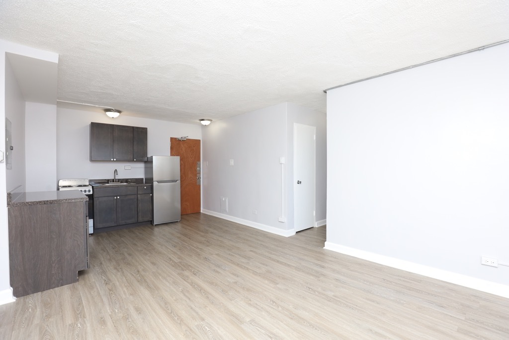 7333 North Ridge Boulevard, Unit 501 Chicago, IL 60645 - Photo 9 of 21