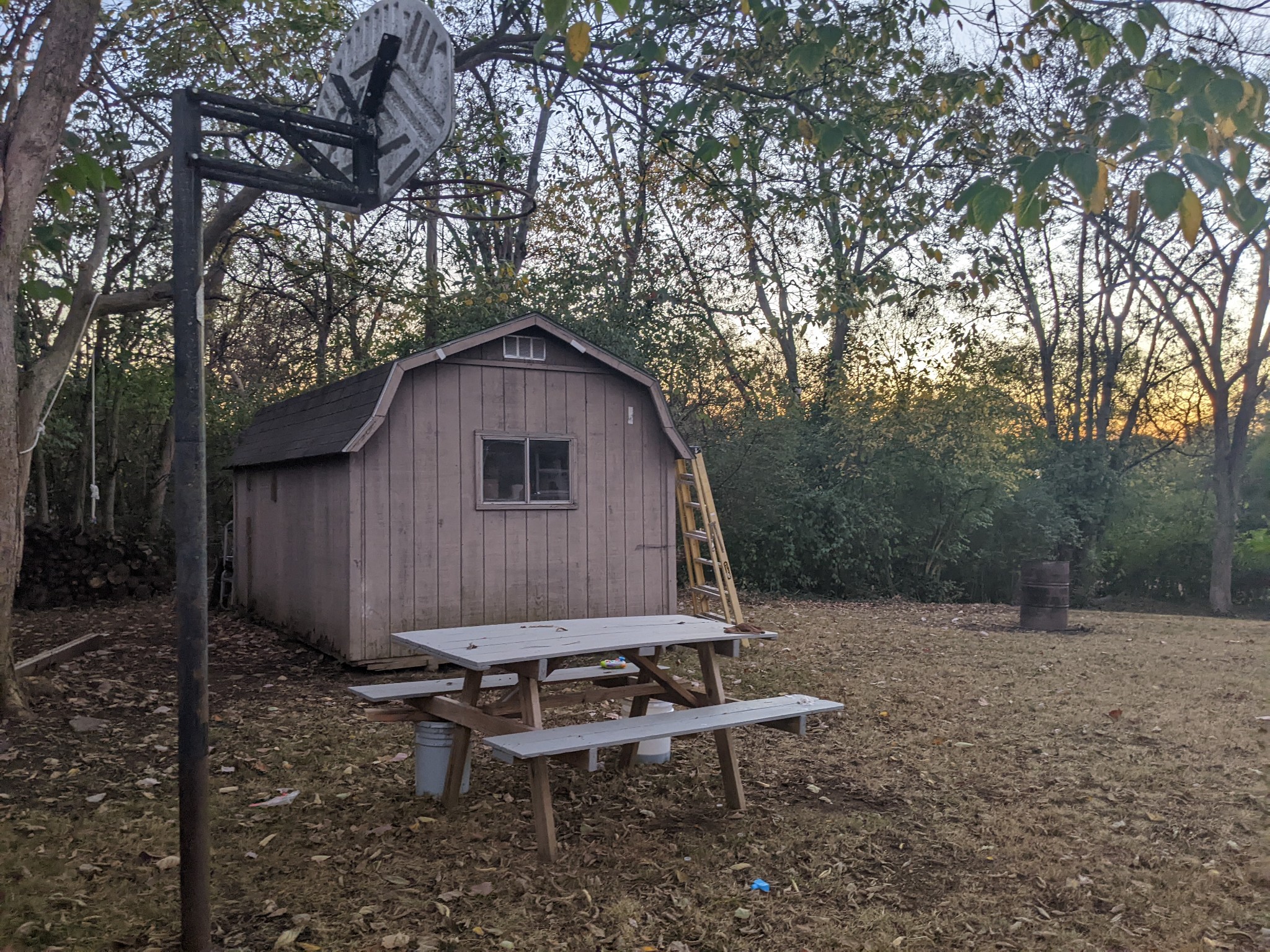 700 Blackstone Avenue Madison, TN 37115 - Photo 15 of 15 a view of backyard with a barn and a large tree