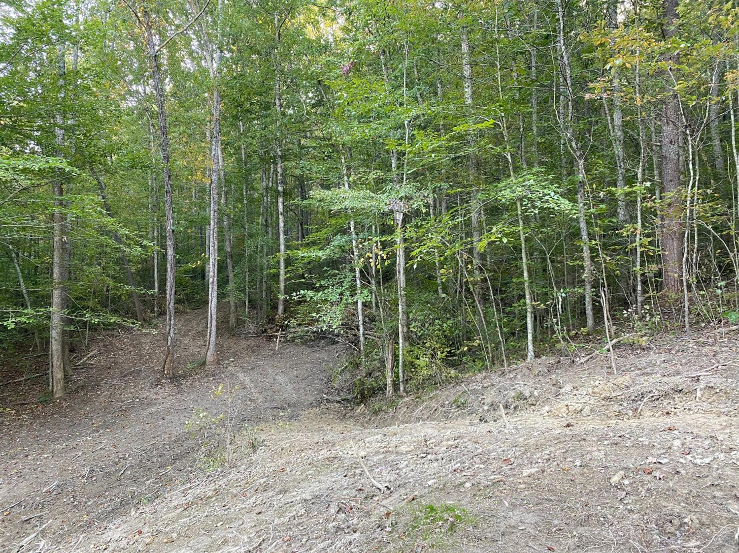 2 Long Branch Road Berea, KY 40403 - Photo 5 of 7 Photo 6