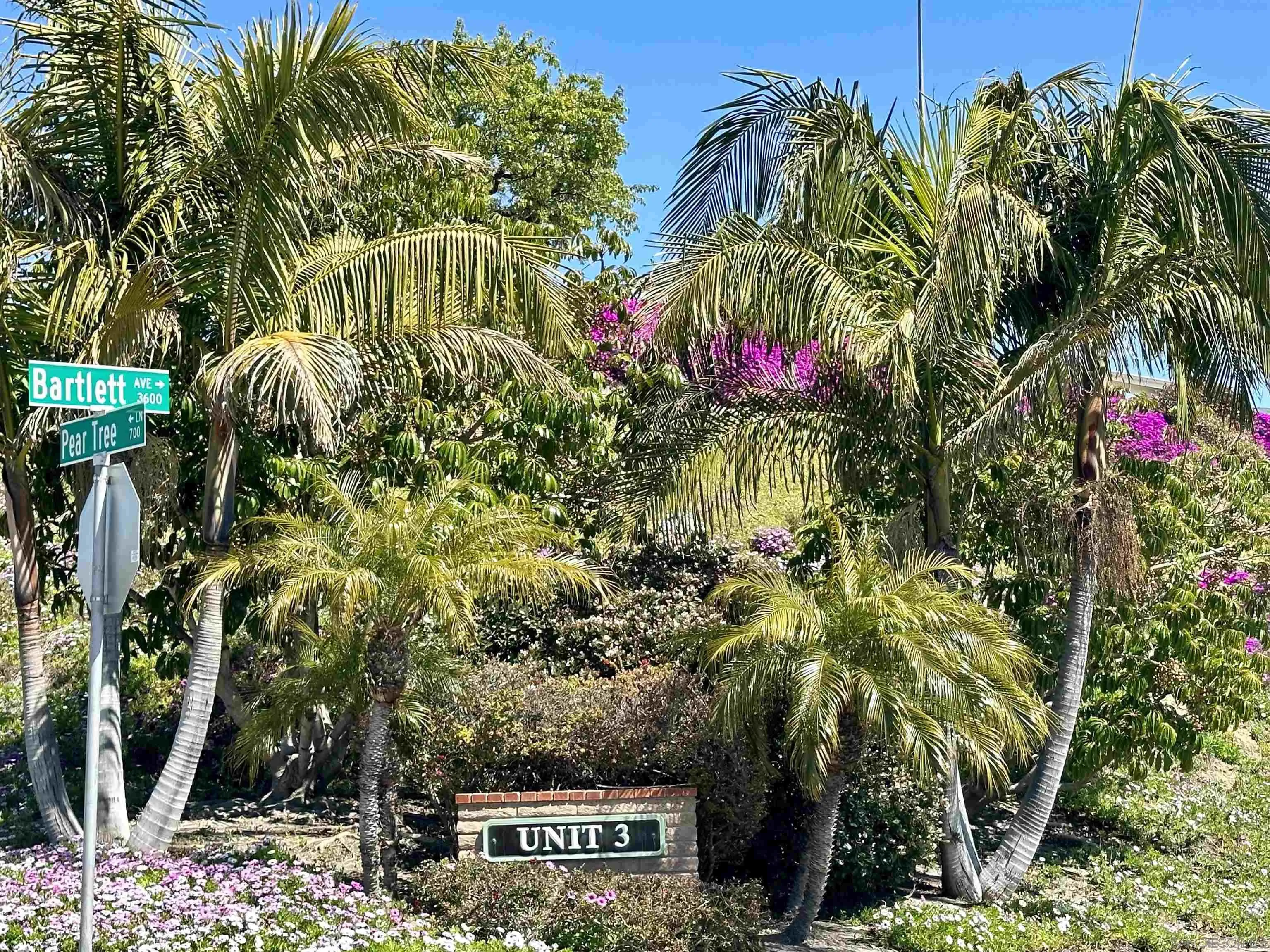 a picture of flowers