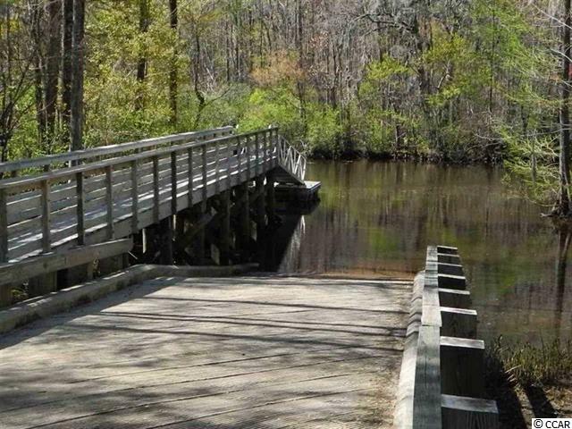 117 Sprig Lane Murrells Inlet, SC 29576 - Photo 39 of 40 Gallery Image 39