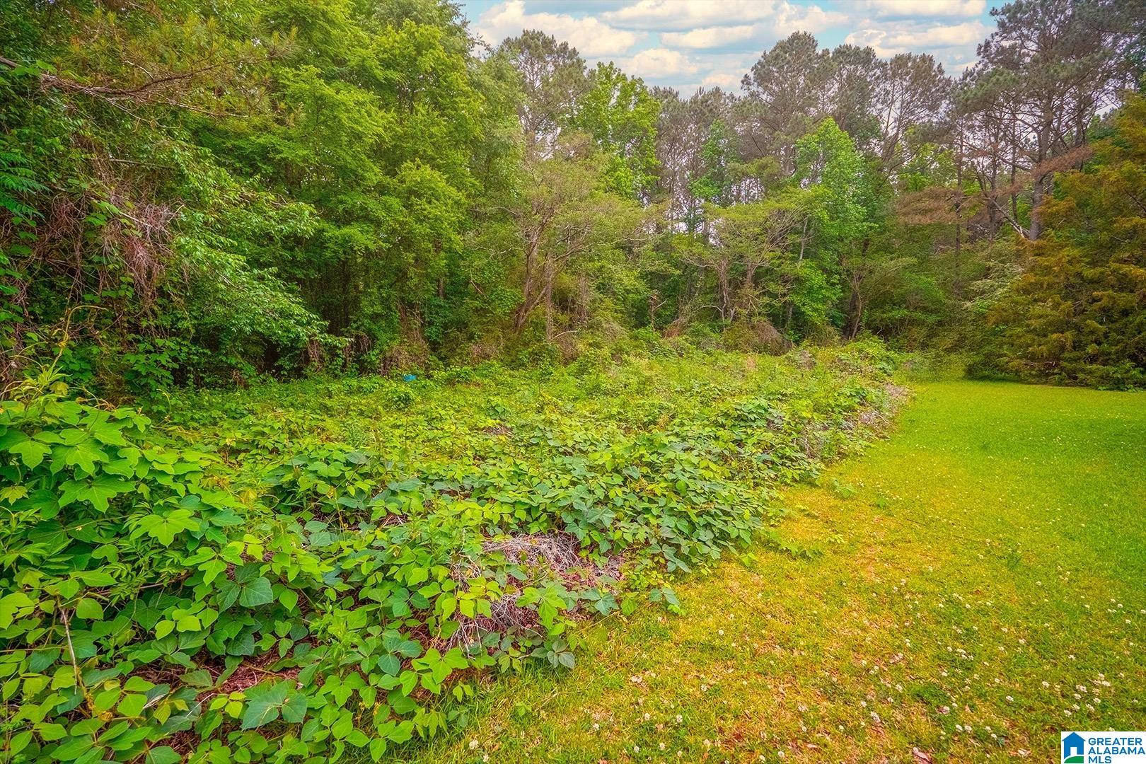 0 Spunky Hollow Road, Unit 1 Trafford, AL 35172 - Photo 9 of 14 Gallery Image 9
