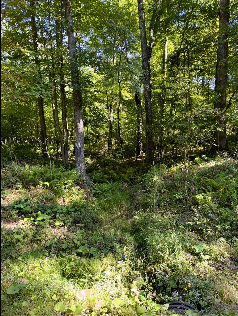 740 Hamilton Corners Road Titusville, PA 16354 - Photo 14 of 19