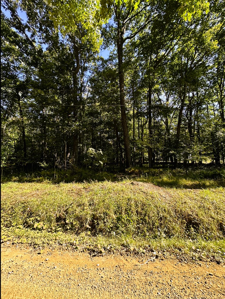 740 Hamilton Corners Road Titusville, PA 16354 - Photo 8 of 19