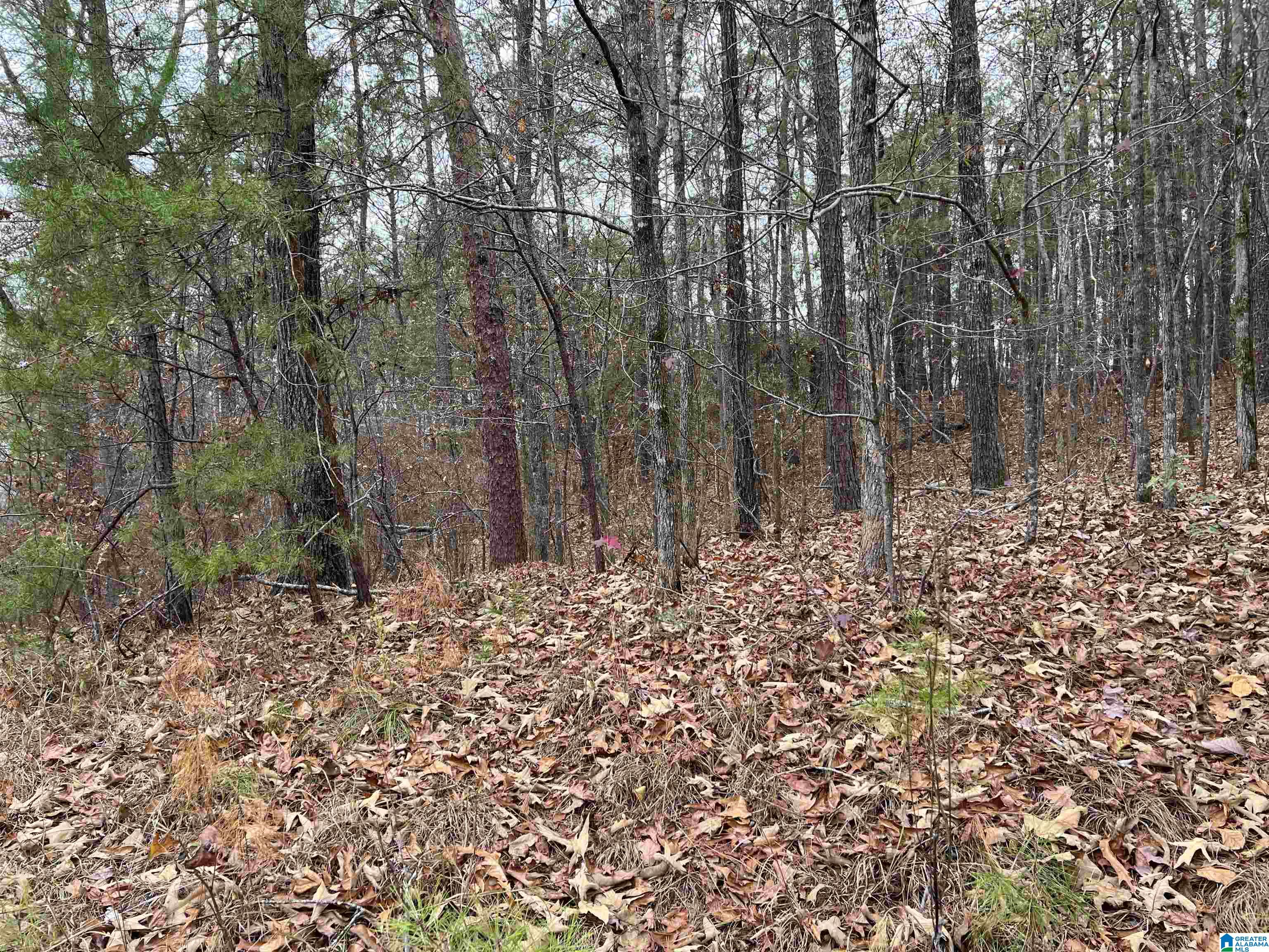0 Mountain View Circle, Unit 35 Vance, AL 35490 - Photo 2 of 5