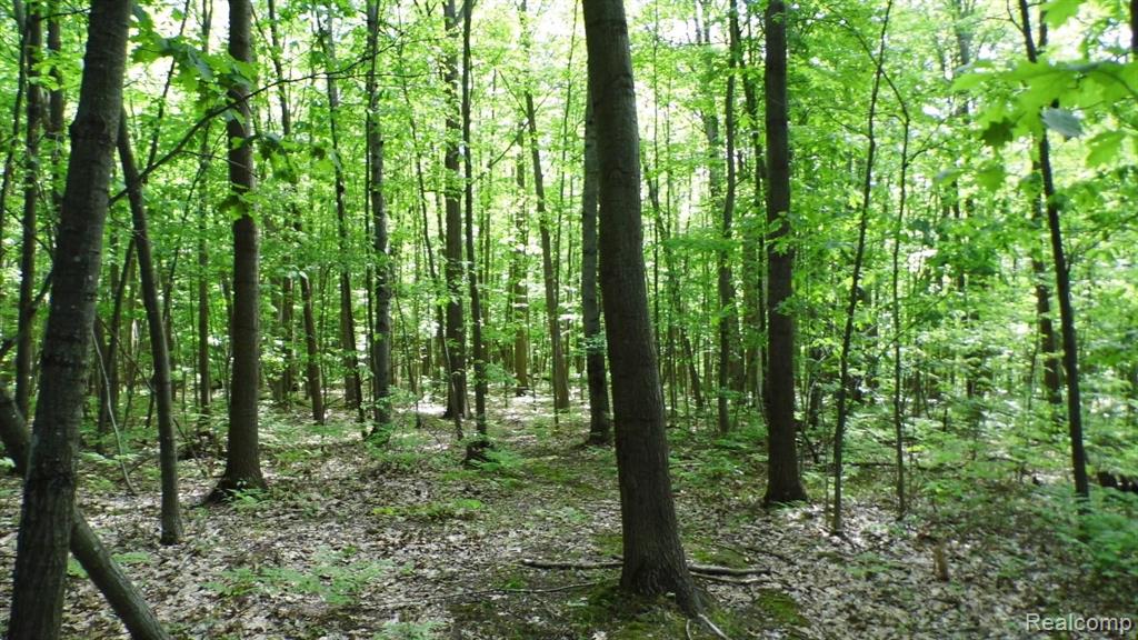 0 South Murray Road Caro, MI 48723 - Photo 10 of 14