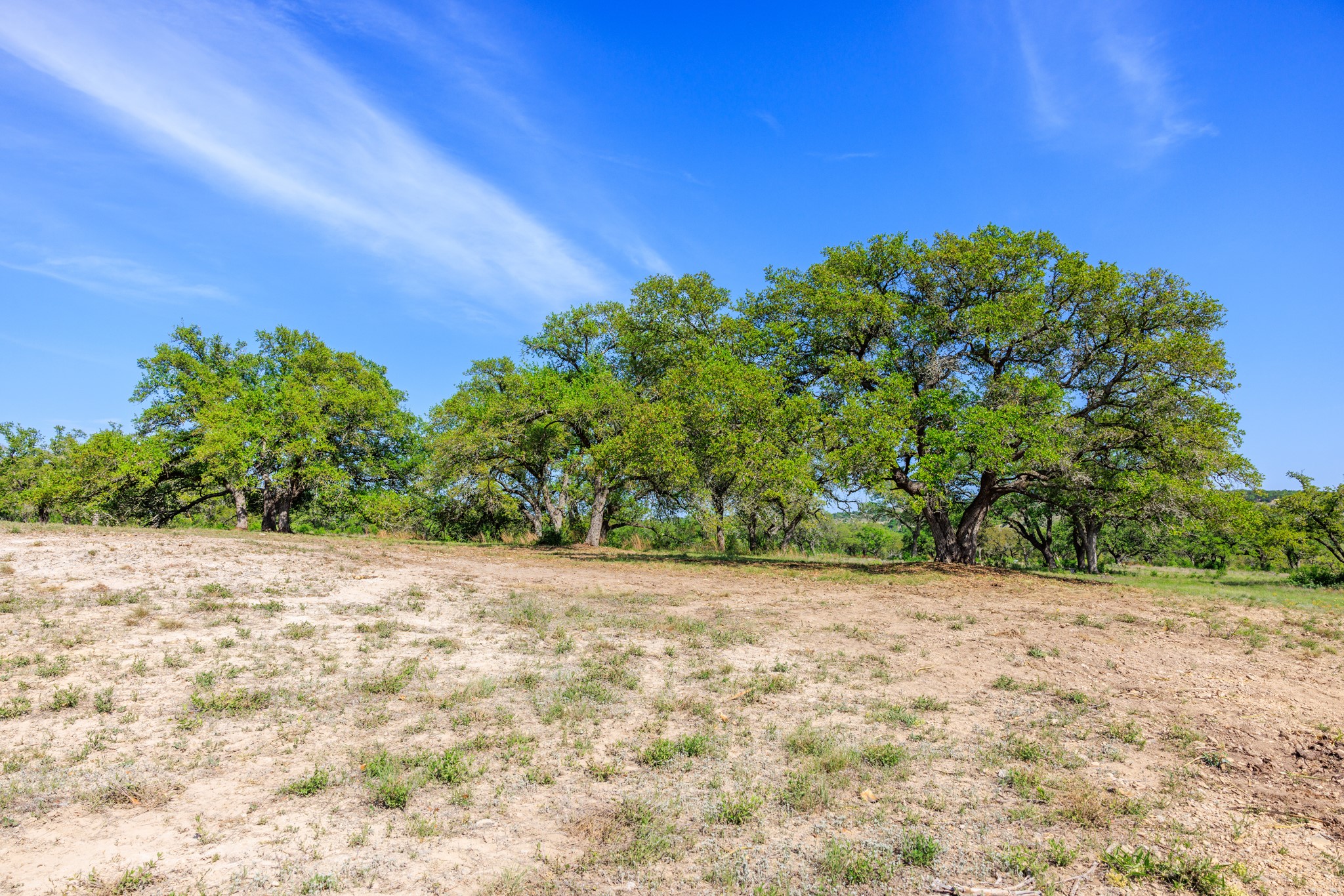 Lot 2 Byrd Ranch Road Johnson City, TX 78636 - Photo 26 of 40 View of landscape with a rural view