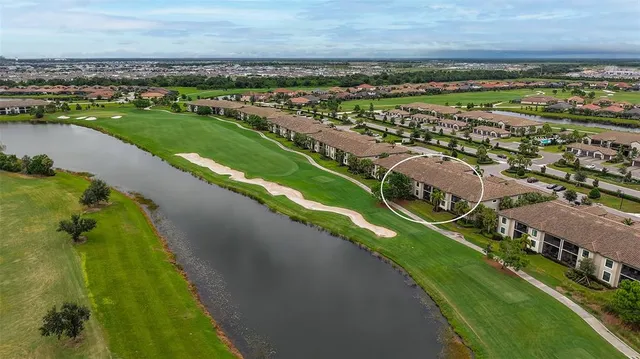 a view of a swimming pool with a yard and palm trees