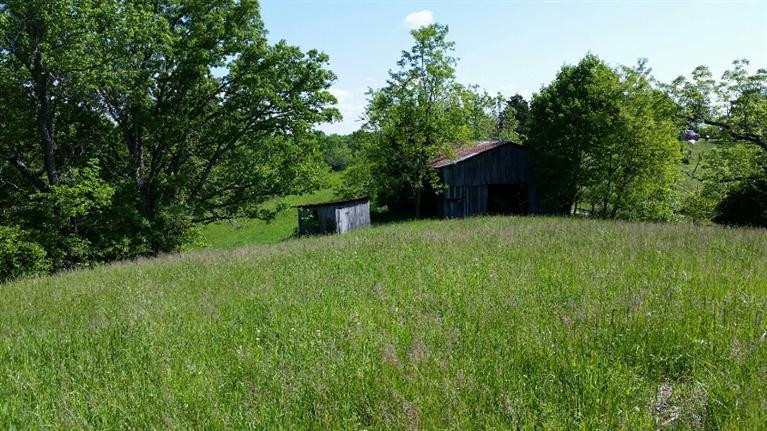 1 Browns Store Road Lawrenceburg, KY 40342 - Photo 3 of 6 Photo 3