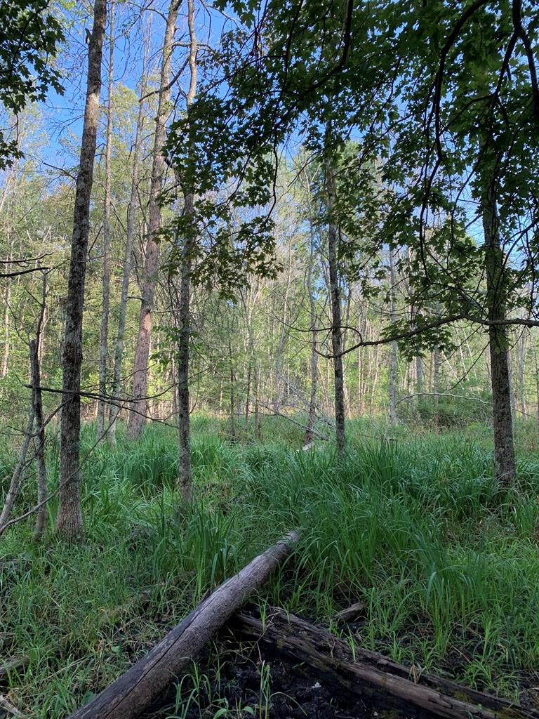 Tbd Lost Lake Road Egg Harbor, WI 54209 - Photo 20 of 29