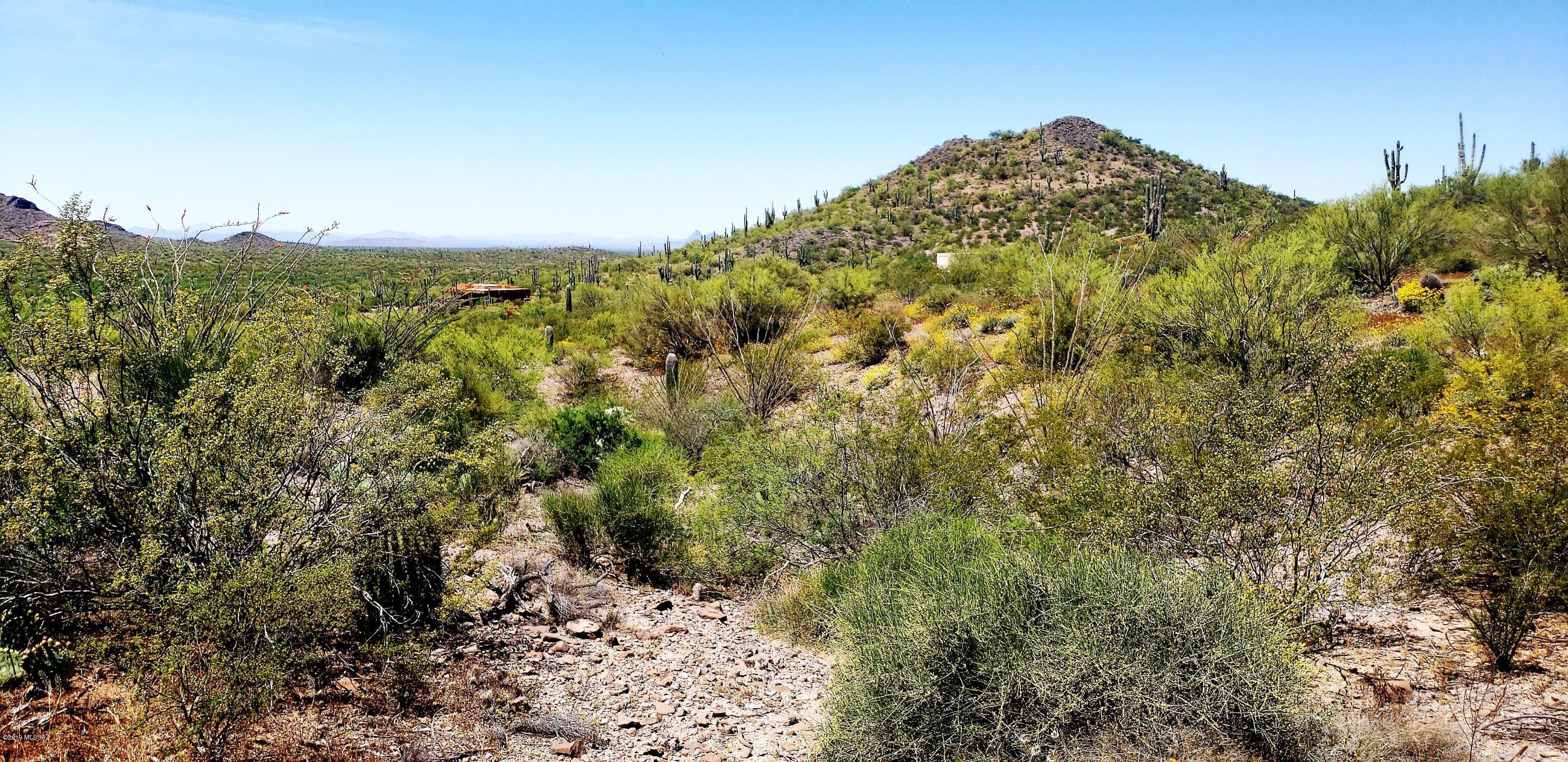 Tbd South Blazed Ridge Road, Unit C2 Tucson, AZ 85739 - Photo 7 of 37