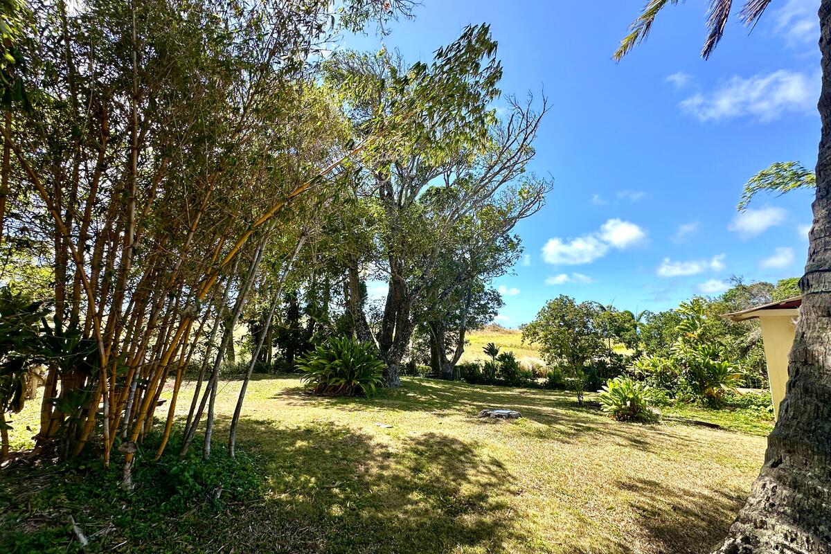 54-322 Union Mill Road Kapaau, HI 96755 - Photo 27 of 30