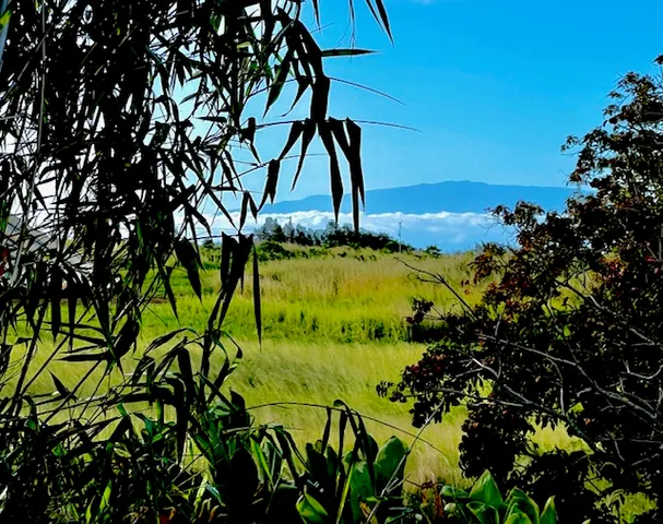 $749,000 | 54-322 Union Mill Road, Kapaau, HI 96755