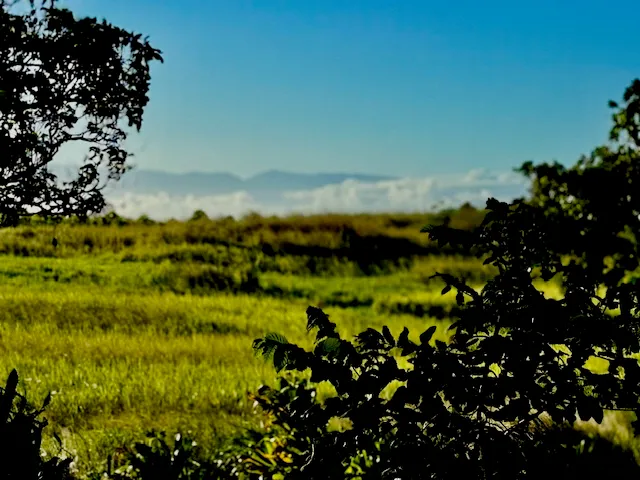 $749,000 | 54-322 Union Mill Road, Kapaau, HI 96755